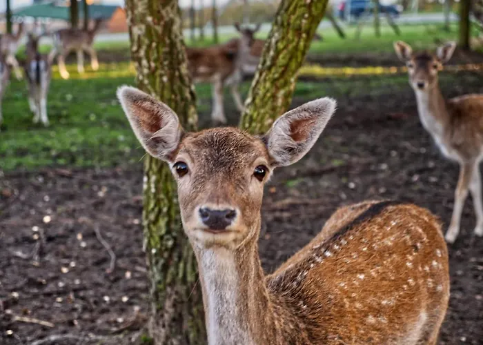Semesterbostad Przystan Nad Zatoka - Osada *